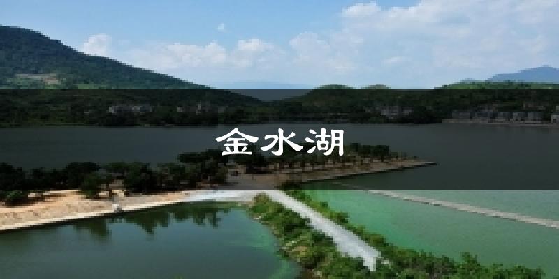 金水湖气温