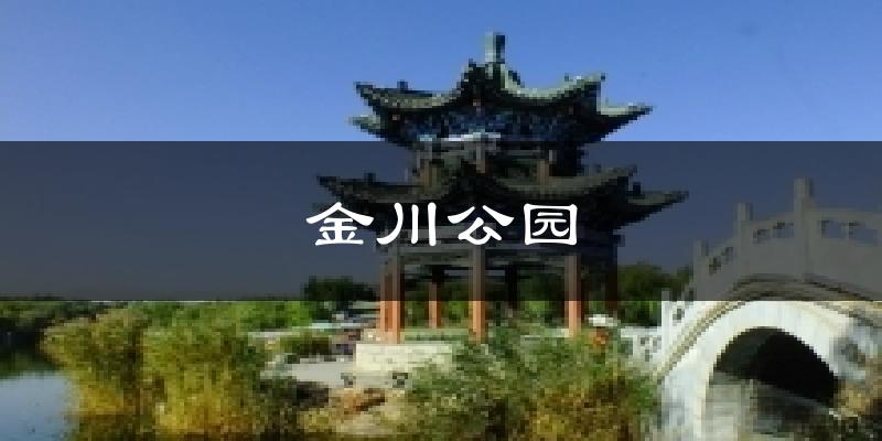 金川公园天气预报十五天