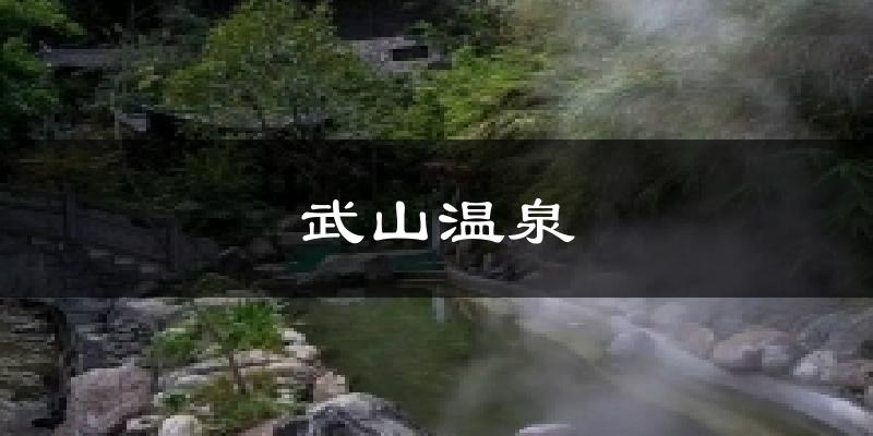 武山温泉今日天气